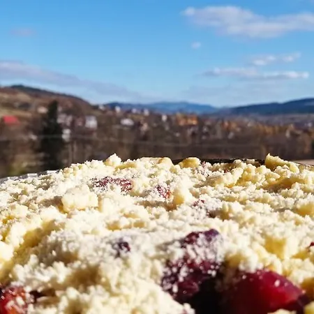 Zalasek Z Alpakami